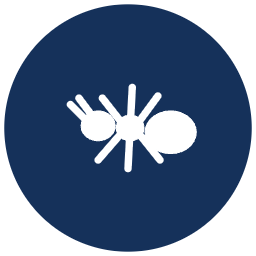 General pest control icon
