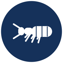 Termite control icon